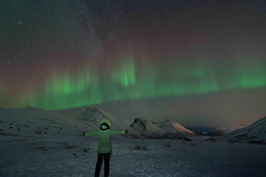 Tromsø: Aurora Tour with Photos, Campfire and Arctic Food - Who This Tour Fits Best (And Who Might Want a Different Option)