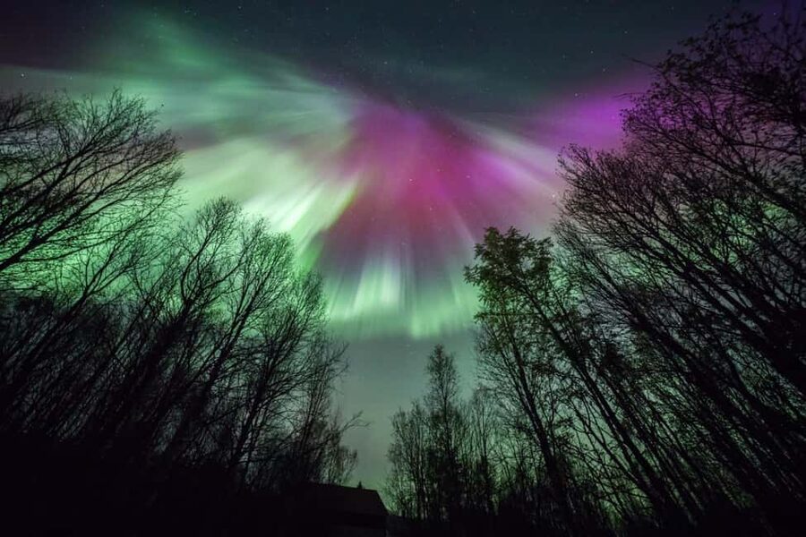 Tromsø: Big Bus Northern Lights Tour with Free Photos - Timing Tips: How Long You Should Spend in Tromsø