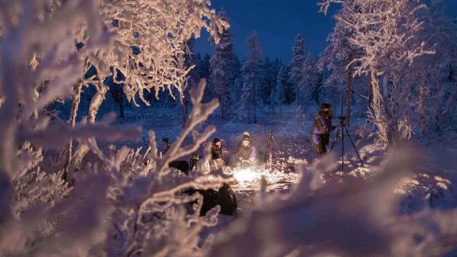 Tromsø: Big Bus Northern Lights Tour with Free Photos - What to Wear and Bring (So the Cold Doesn’t Win)
