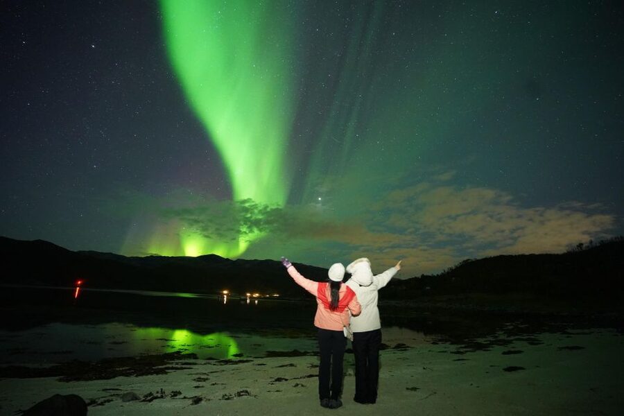 Tromsø: Chase Aurora in Minibus and Free Aurora Portrait - Price and Value Check: Is $141 a Good Deal?