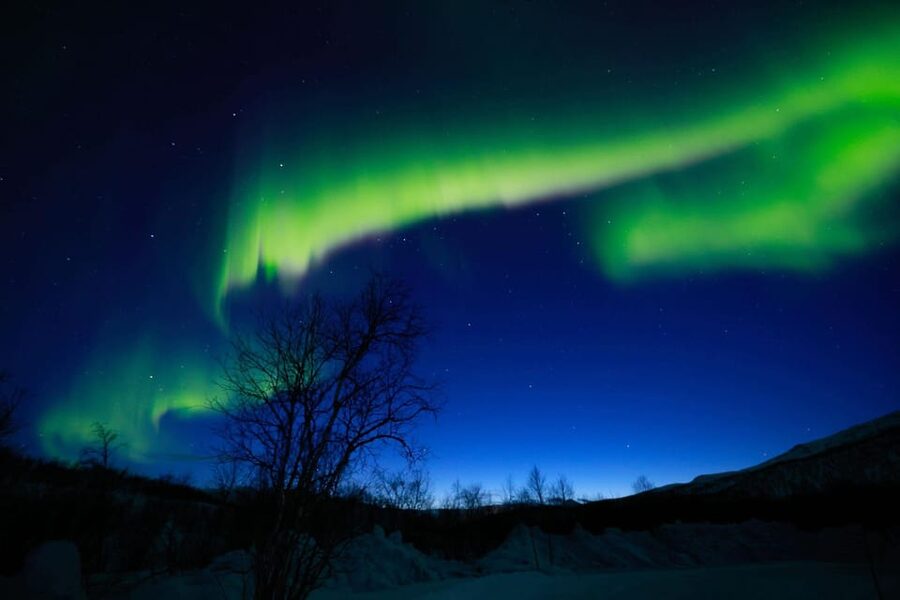 Tromsø Chinese Aurora Tour - Food Stops That Don’t Feel Like a Detour