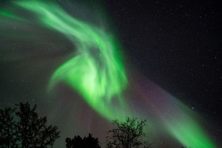 Tromsø: Evening Aurora Cruise (dinner optional) - Key things that make this cruise worth your time