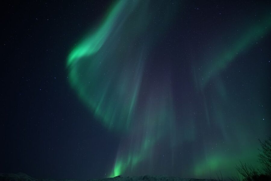 Tromsø: Evening Aurora Cruise (dinner optional) - Guides who help you catch the moment (and the settings)