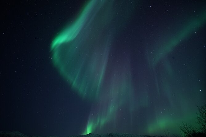 Tromsø: Evening Cruise with Northern Lights Opportunity - Tromsø at night: why this boat tour is a smart pick