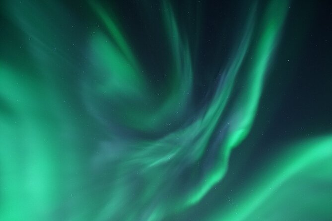 Tromsø: Evening Cruise with Northern Lights Opportunity - Warmth and comfort: thermal suits, hot drinks, and the deck warning