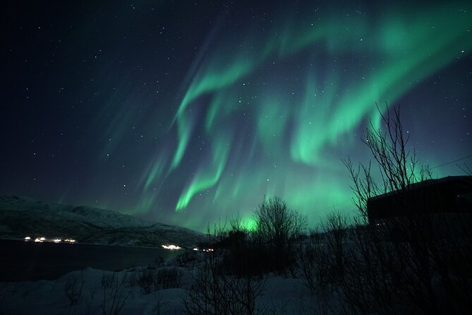 Tromsø: Evening Cruise with Northern Lights Opportunity - Price and value: why $128.52 might feel fair