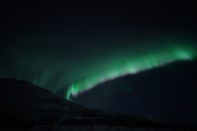 Tromsø: Evening Cruise with Northern Lights Opportunity - Getting to the pier at 8:00 pm (and avoiding the usual stress)