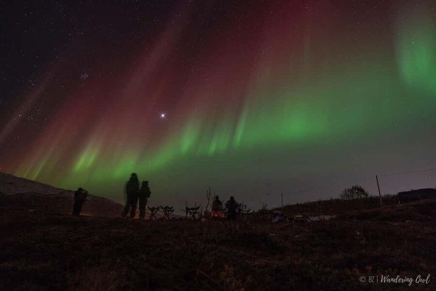 Tromsø: Express Aurora Hunt - Express Aurora Hunt: what this 4-hour format is really for