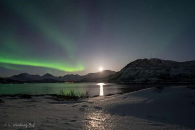 Tromsø: Express Aurora Hunt - Picking up in Tromsø: city stays simple, cruises stay coordinated