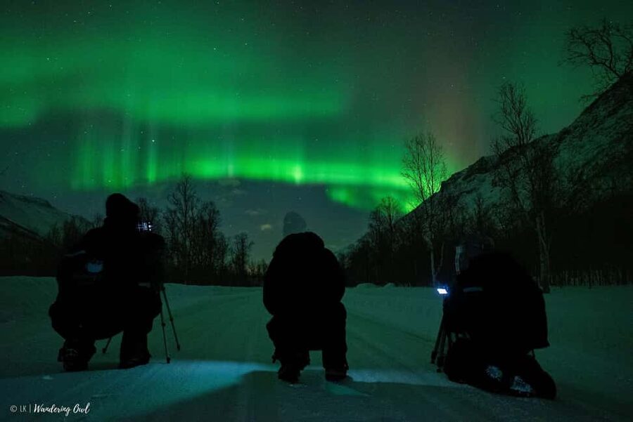 Tromsø: Express Aurora Hunt - Waiting smart: warm drinks, biscuits, and the calm rhythm of watching