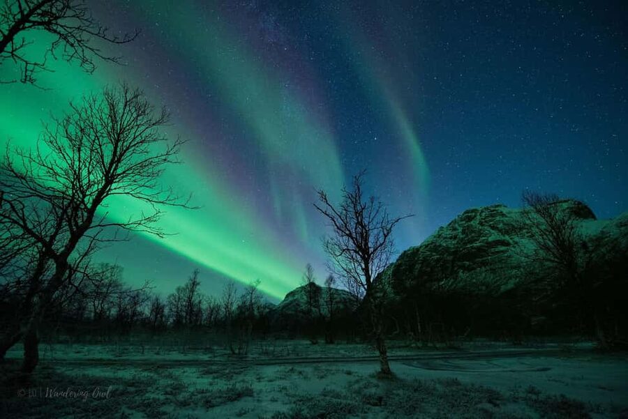 Tromsø: Express Aurora Hunt - Price and value: why $196 can make sense for the right schedule