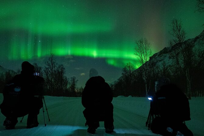 Tromsø: Express Aurora Hunt with Wandering Owl - Tromsø in Four Hours: What Express Really Covers