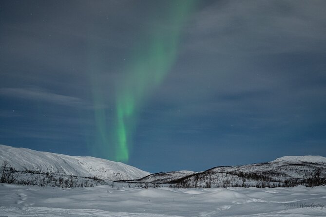 Tromsø: Express Aurora Hunt with Wandering Owl - Inside the Field Plan: Ponchos, Hot Drinks, and Quick Changes
