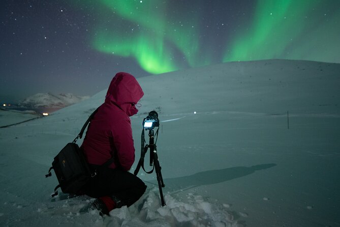 Tromsø: Express Aurora Hunt with Wandering Owl - What If the Sky Won’t Cooperate Fully?
