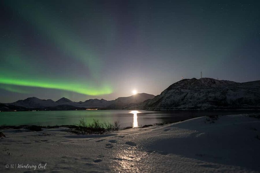 Tromsø: Express Aurora Hunt - Picking up in Tromsø: city stays simple, cruises stay coordinated