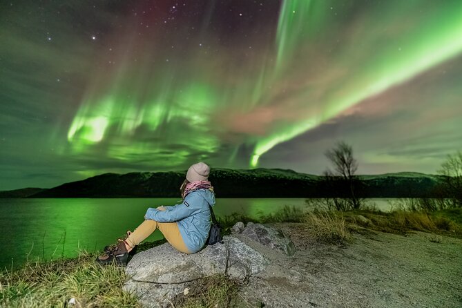 Tromsø Fjordland Aurora Chase Northern Lights by the Arctic Sea - Price and value: why $311.45 can make sense here