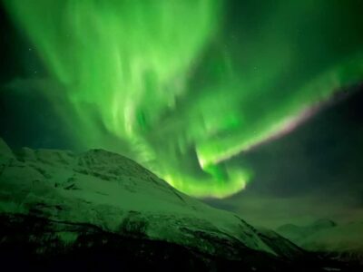 Tromsø: Full Night Magic of the Northern Lights - Why a minibus and a max group of 16 beats waiting with crowds