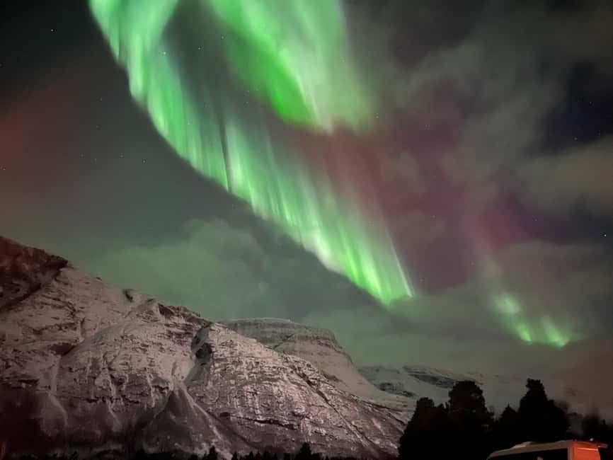 Tromsø: Full Night Magic of the Northern Lights - The bonfire stop: warm drinks, snacks, and the social reset