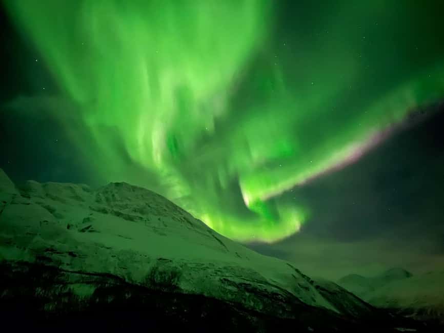Tromsø: Full Night Magic of the Northern Lights - Why a minibus and a max group of 16 beats waiting with crowds