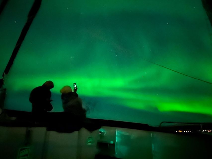Tromso: Luxury Northern Lights Cruise with Hot Tub & Dinner - The Food: Reindeer Stew That Feels Like a Fjord Dinner, Not a Snack