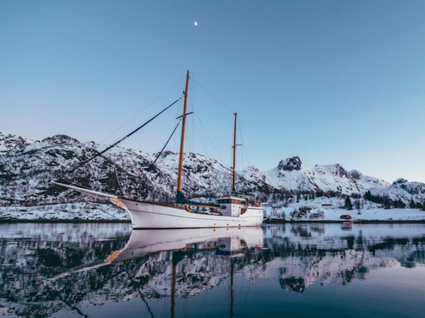Tromso: Luxury Northern Lights Cruise with Hot Tub & Dinner - Seeing the Northern Lights: How the Captain Works the Odds