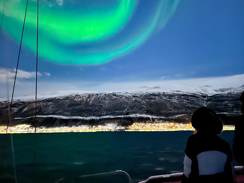 Tromso: Luxury Northern Lights Cruise with Hot Tub & Dinner - Price and Value: Why $309 Feels Reasonable Here