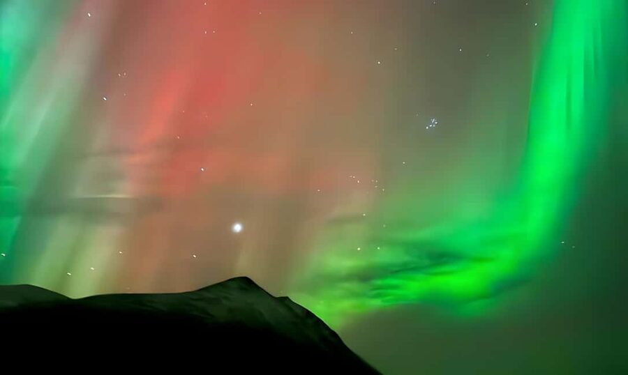 Tromsø: Northern Lights Adventure by Bus or Minibus - The 5-Hour Flow: Warm Drinks, Campfire Moments, and Multiple Checks