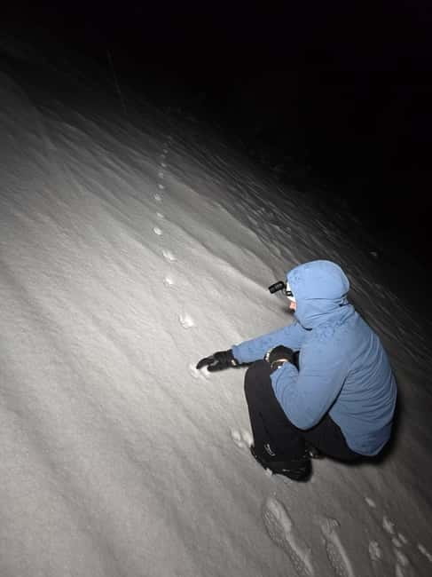 Tromsø: Northern Lights and a Starlit Adventure Tour - Why Vikran’s Dark Skies Matter From the Start
