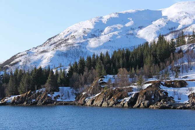 Tromsø, Northern Lights and Wilderness Evening Catamaran Cruise - What your guide focuses on (and why it helps on foggy nights)