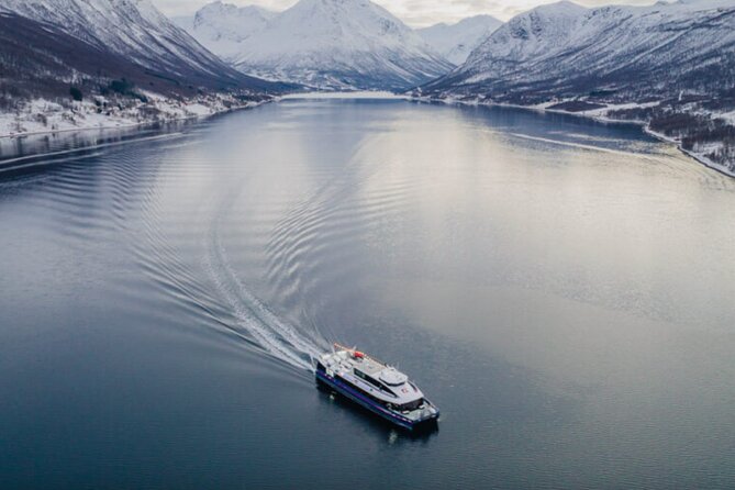 Tromsø, Northern Lights and Wilderness Evening Catamaran Cruise - The Northern Lights guarantee: how it works, and what to expect