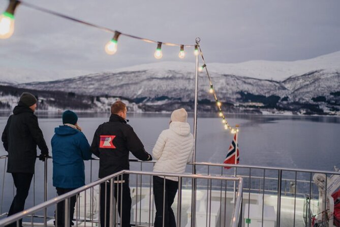 Tromsø, Northern Lights and Wilderness Evening Catamaran Cruise - Who this cruise is best for (and who should consider something else)