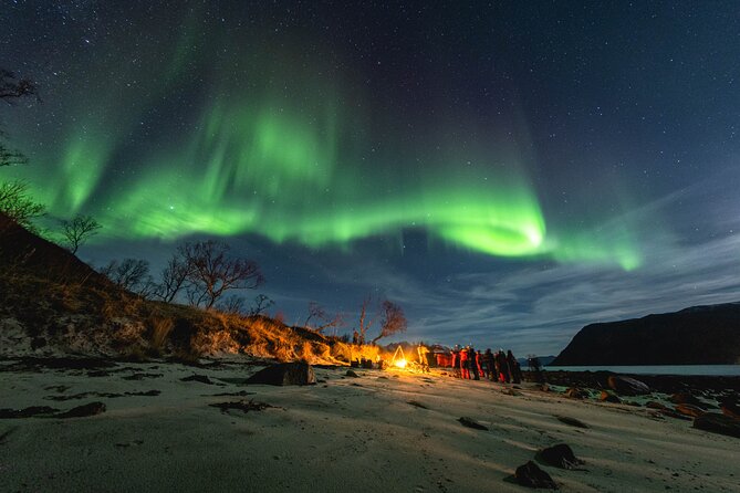 Tromsø: Northern Lights by Minibus - Free Photos and Warm Dinner - Key highlights to know before you go