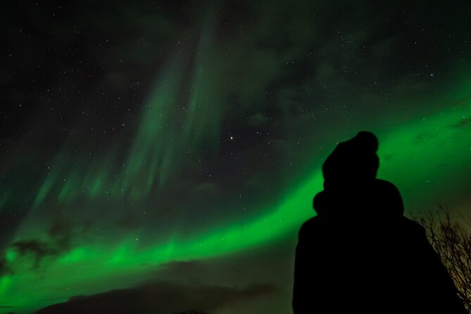 Tromsø: Northern Lights by Minibus - Free Photos and Warm Dinner - Scandic Ishavshotel Start: Easy In, Easy Out