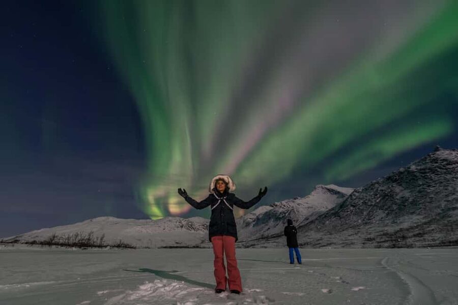 Tromsø: Northern Lights Chase by a comfortable bus - Price and value of the bus-and-photo experience ($152)