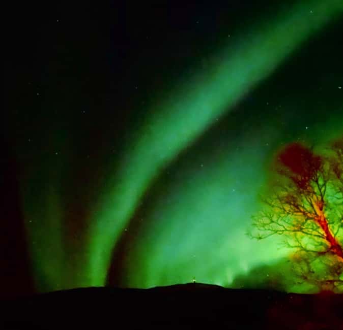 Tromsø: Northern Lights Chase — Small Group Experience - Warmth and breaks that keep the chase enjoyable