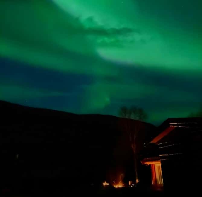 Tromsø: Northern Lights Chase — Small Group Experience - Who this tour suits best (and who should skip it)