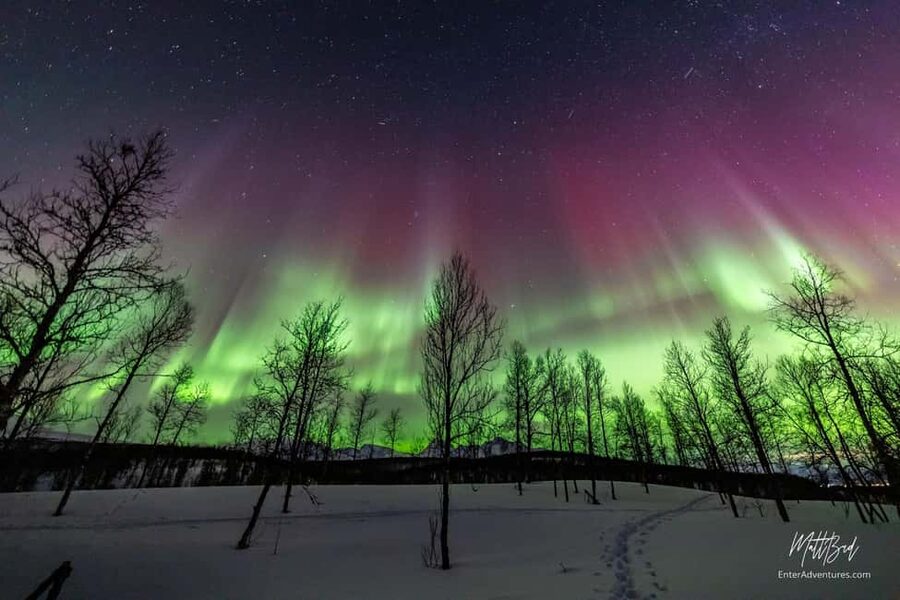 Tromsø: Northern Lights Chase with Expert Guides & Photos - What the guides actually do for you (and why it matters)