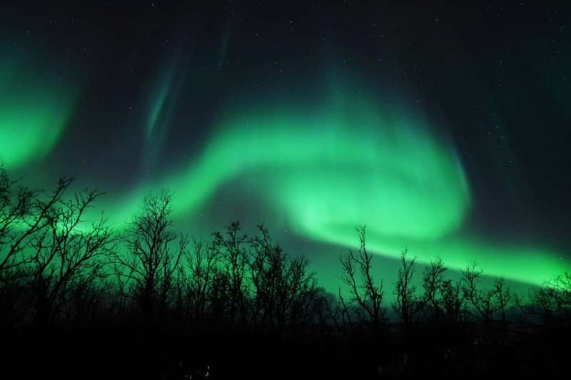 Tromsø: Northern Lights Chase with Local Guide & Free Photos - Free professional photos: the bonus you’ll actually use later