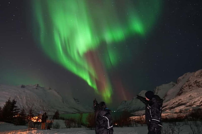 Tromsø: Northern Lights Chase with Local Guide & Free Photos - Group management and viewing spots: getting away from crowds