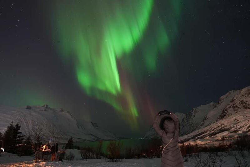 Tromsø: Northern Lights Chase with Local Guide & Free Photos - Languages and communication: English with extra help for more people