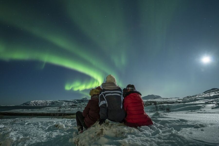 Tromso: Northern Lights Chase with Photo Package Included - Warm Drinks, Cookies, and the Bus-Always-There Advantage