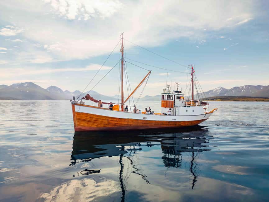 Tromsø: Northern Lights Dinner Cruise - Northern Lights vs Polar Night: you’re not waiting in the dark for nothing