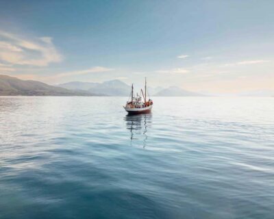 Tromsø: Northern Lights Dinner Cruise - The 3-course fish dinner: warm food you’ll remember (and actually taste)