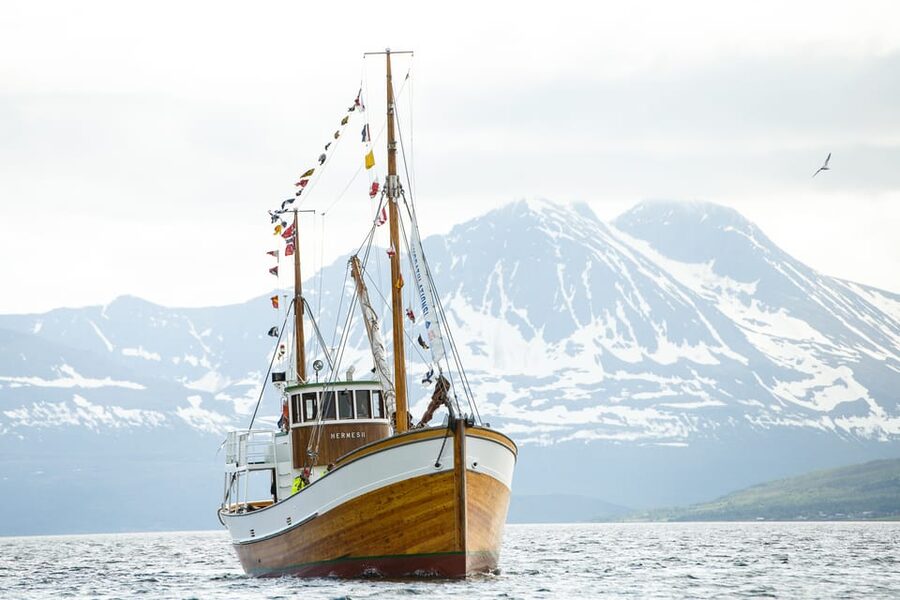 Tromsø: Northern Lights Dinner Cruise - Comfort, thermal suits, and cold-weather tips that keep the night enjoyable