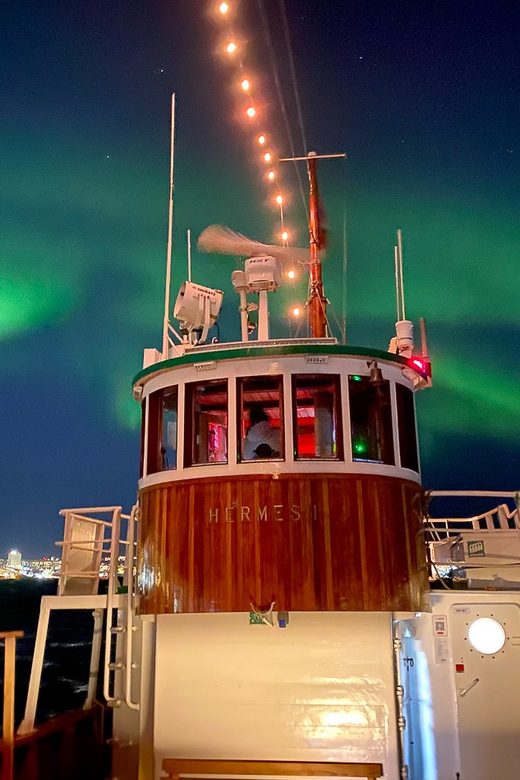 Tromsø: Northern Lights Dinner Cruise - Price and value: is $198 per person fair for a 3-hour Arctic dinner cruise?