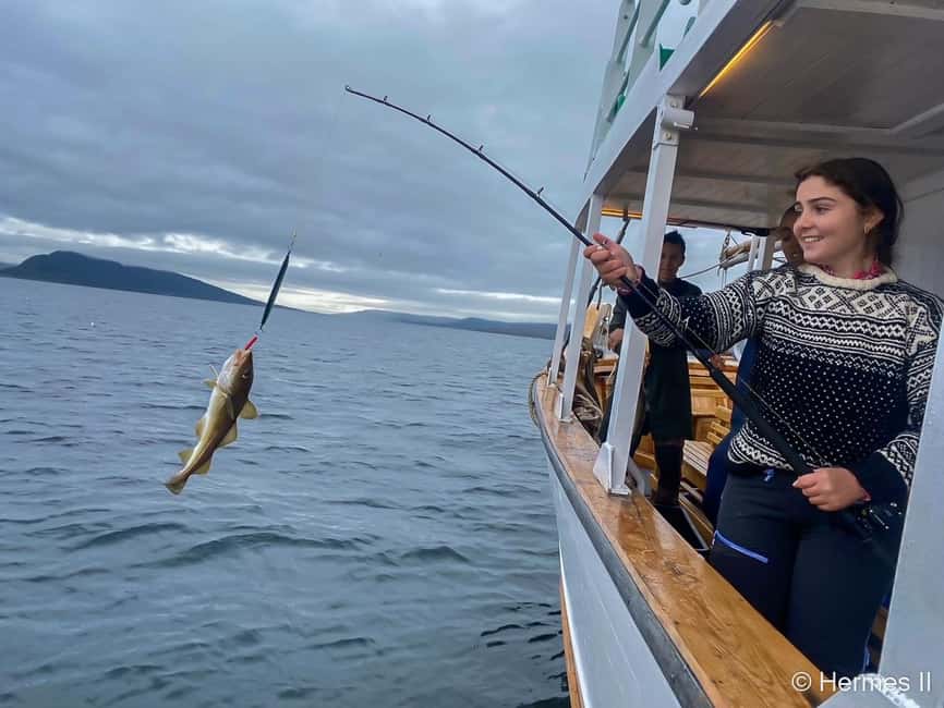 Tromsø: Northern Lights Dinner Cruise - Where this fits best in your Tromsø week