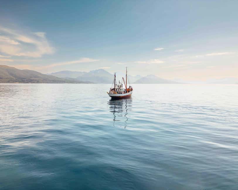 Tromsø: Northern Lights Dinner Cruise - The 3-course fish dinner: warm food you’ll remember (and actually taste)