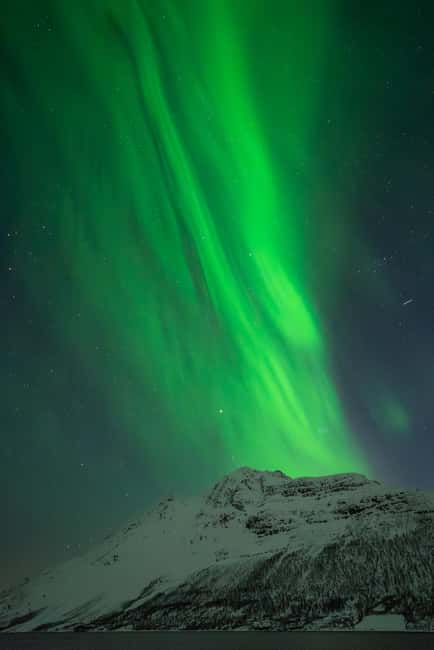 Tromsø: Northern Lights Focus Tour, German/English, minibus, meal - Key things that make this tour work