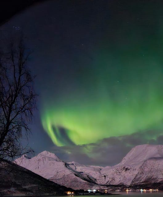 Tromsø: Northern Lights Hunt. Local Guide and Basecamp. - Key points to know before you go