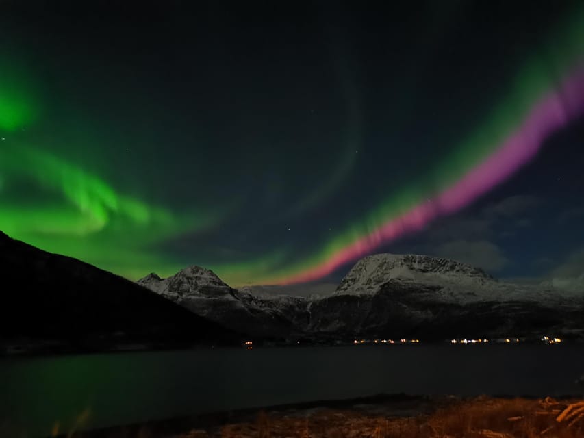 Tromsø: Northern Lights Hunt. Local Guide and Basecamp. - Troms County: photos, guided context, coffee/tea, and real time outside